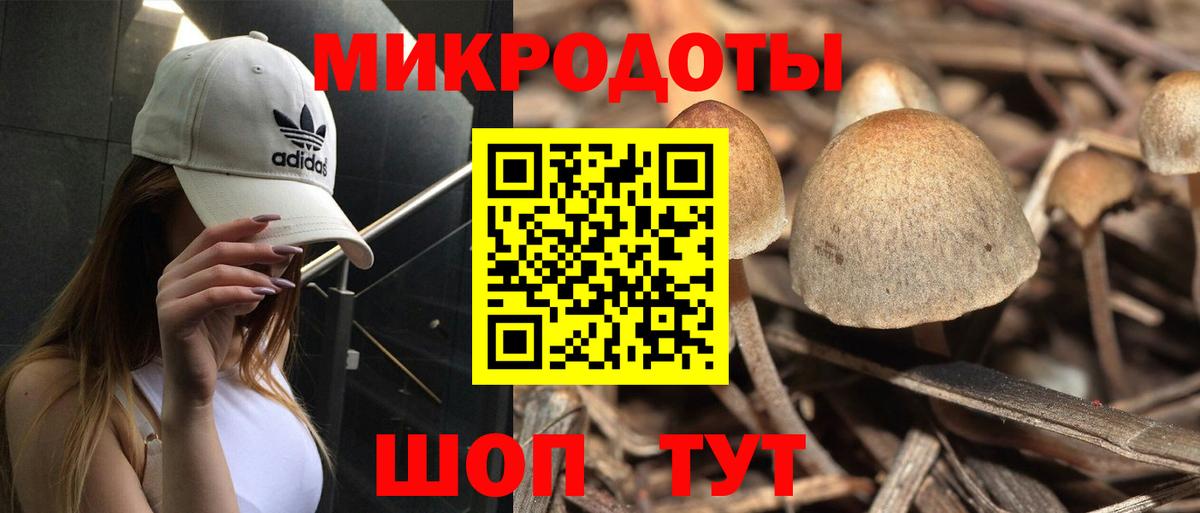 Гуково  Галлюциногенные грибы Cubensis  дарнет шоп  Вход с VPN 
